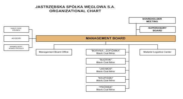 organizational_chart.png